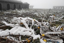 Tin tức trong ngày - Thời tiết cuối tuần: Miền Bắc tiếp tục rét tê tái, miền Nam oi nóng