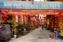 Tin tức trong ngày - Choáng ngợp với “đường hoa mini” độc đáo trong những con hẻm ở TP.HCM