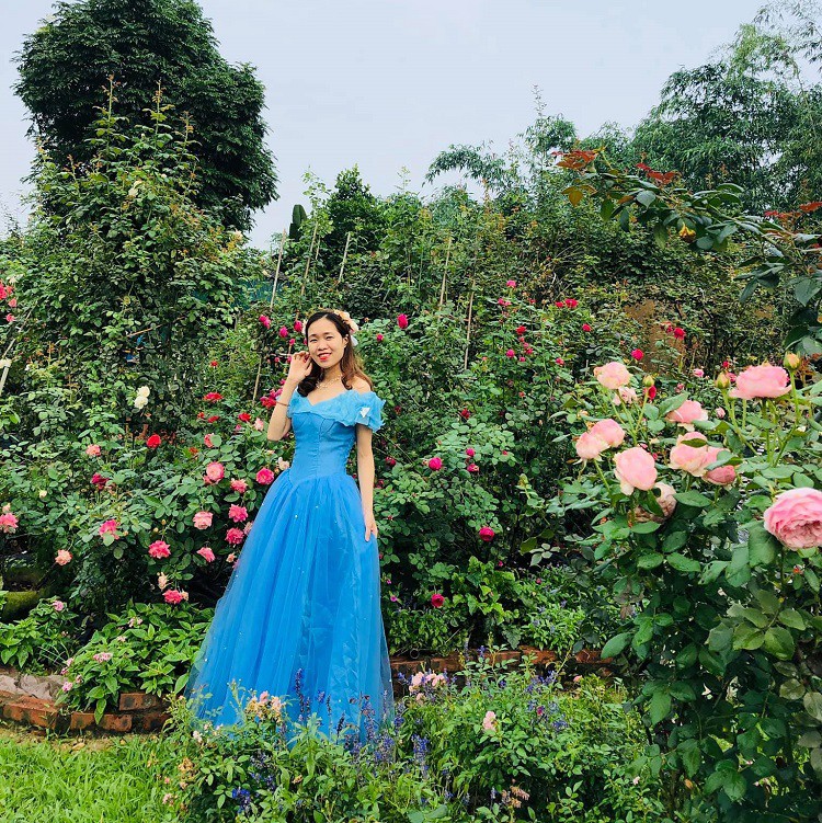 Vườn hoa hồng của anh Hùng cũng là nơi nhiều bạn trẻ tới chụp ảnh.