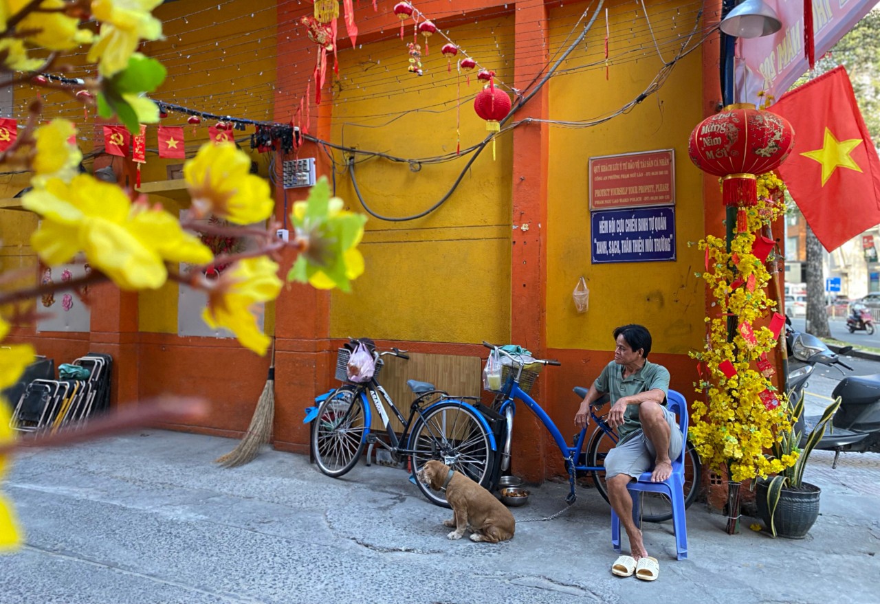  Ngồi đầu hẻm ngắm “đường hoa mini” cùng chú chó cưng, ông Huỳnh Văn Quang (56 tuổi, người dân trong hẻm 100 Trần Hưng Đạo) chia sẻ: “Đường hoa làm được mấy ngày nay rồi, thấy con hẻm có không khí Tết hơn. Năm nay “đường hoa mini” làm đơn giản nhưng lại đẹp hơn năm ngoái nên đã có nhiều dân và du khách tới chụp hình Tết. Con hẻm được trang trí Tết khiến người dân chúng tôi vui lắm, gia đình có chỗ chụp hình đón xuân”.