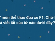 Giáo dục - du học - Trọn bộ câu hỏi cực hóc búa khiến bao người vò đầu bứt tóc