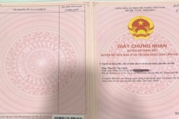 Tin tức trong ngày - TP HCM: Cụ ông 93 tuổi được cấp sổ đỏ sau 20 năm "đáo tụng đình"