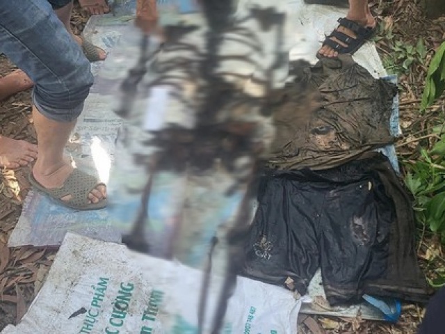 Pháp luật - Đang điều tra vụ bộ xương người trong rừng tràm