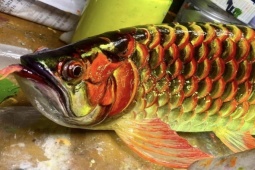 Thị trường - Tiêu dùng - “Chán” chơi cá thật, cô gái tự làm cá nhựa bán giá đến 2 triệu đồng/con