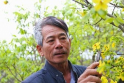 Thị trường - Tiêu dùng - Độc đáo nghề chăm mai Yên Tử ở làng hoa lớn nhất Quảng Ninh: Thắp đèn tránh rét cho cây