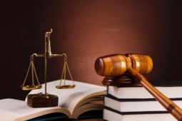 Không chỉ riêng kinh tế, đây cũng là ngành học được các thí sinh nộp hồ sơ 'rầm rộ'