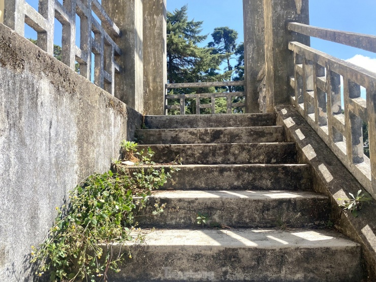 Cỏ dại mọc trên cầu thang, quanh khu vực Dinh tỉnh trưởng