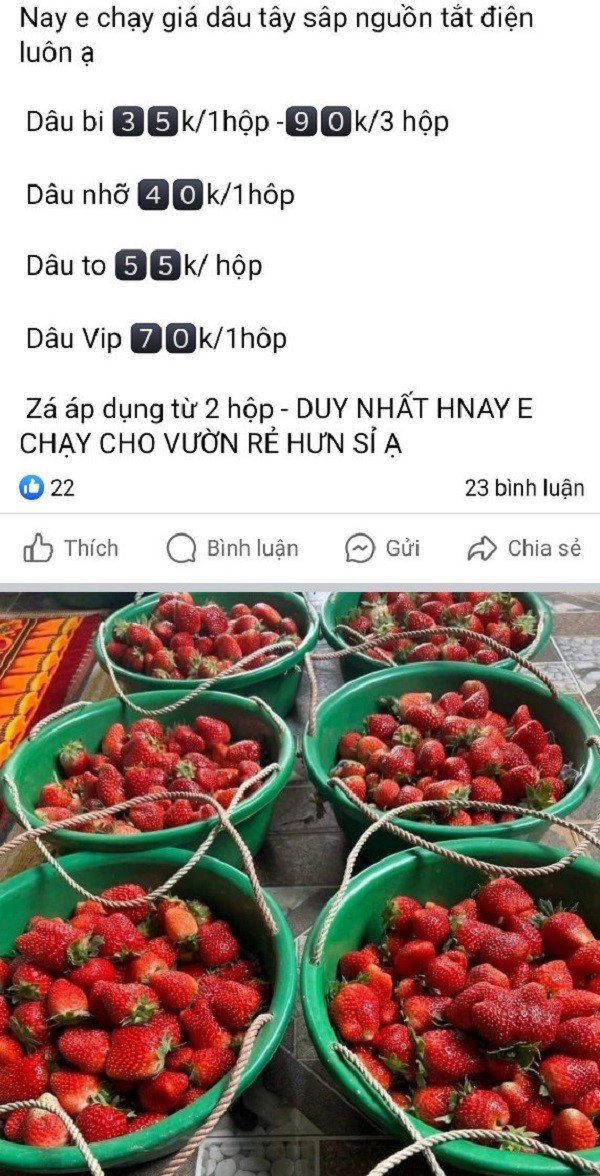 Một trang Facebook rao bán dâu tây giá rẻ.&nbsp;