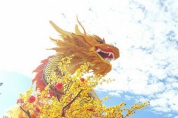 Tin tức trong ngày - Linh vật rồng vừa được đặt ở Công viên Lao Bảo đã nhận được nhiều lời khen