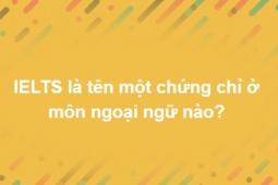 Loay hoay cả buổi mới trả lời đúng hết bộ câu hỏi "khó nhằn" này