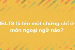 Giáo dục - du học - Loay hoay cả buổi mới trả lời đúng hết bộ câu hỏi "khó nhằn" này