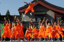 Thể thao - Long Hình Quyền, môn võ công trấn phái uy chấn quần hùng của Thiếu Lâm