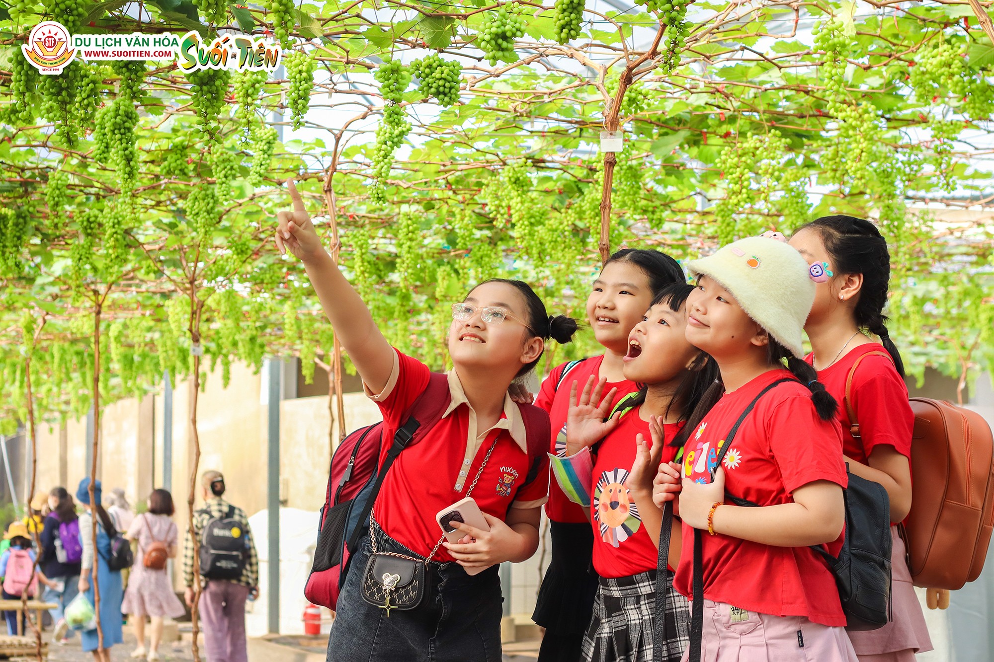 Các em học sinh thích thú tham quan vườn nho Mẫu Đơn Nhật Bản sai trĩu quả 