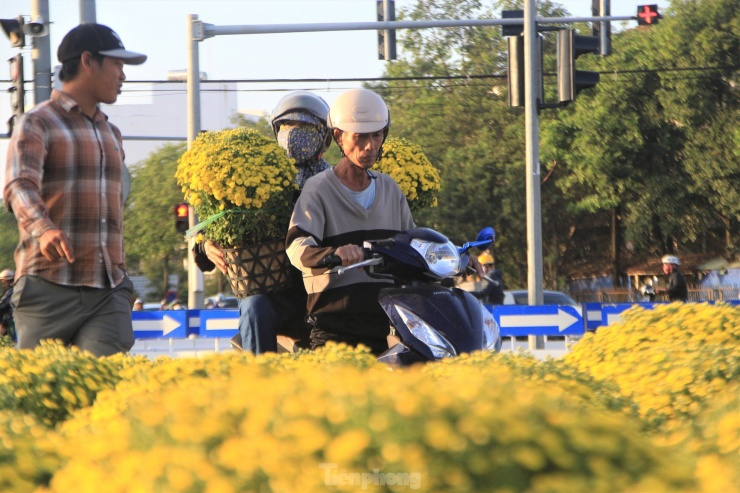 Để hoa không bị hỏng và nở đều, các chủ vườn nhắc người chơi hoa nên tưới nước ở gốc, không nên tưới thẳng vào hoa.