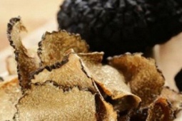 Ẩm thực - Thứ dưới đất được "truy tìm" bằng chó săn, mua 1 kg tốn đến vài tỷ đồng