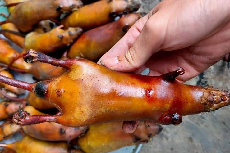 Theo những người có kinh nghiệm, có rất nhiều cách để bắt chuột, cách đơn giản nhất là dùng bẫy
