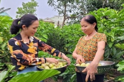 Kinh doanh - Tay trắng khởi nghiệp, hiện 8x Quảng Nam sở hữu khối tài sản tiền tỷ