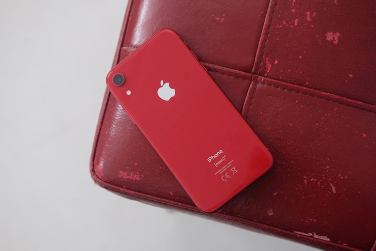 Chất lượng camera iPhone XR không hoàn hảo để chụp ảnh xuân.