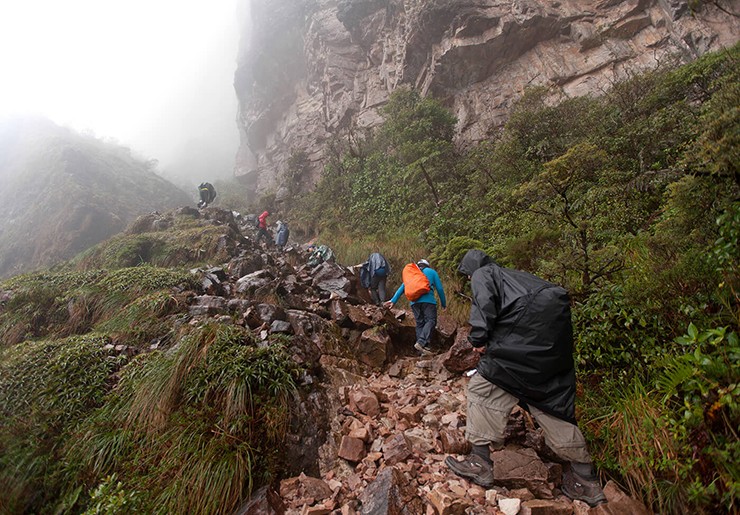 Điều khiến Roraima trở nên đặc biệt là đỉnh bằng phẳng của nó, rộng khoảng 31km2, thường bị bao phủ bởi những đám mây dày đặc, tạo thêm bầu không khí huyền bí và bí ẩn cho nơi này.


