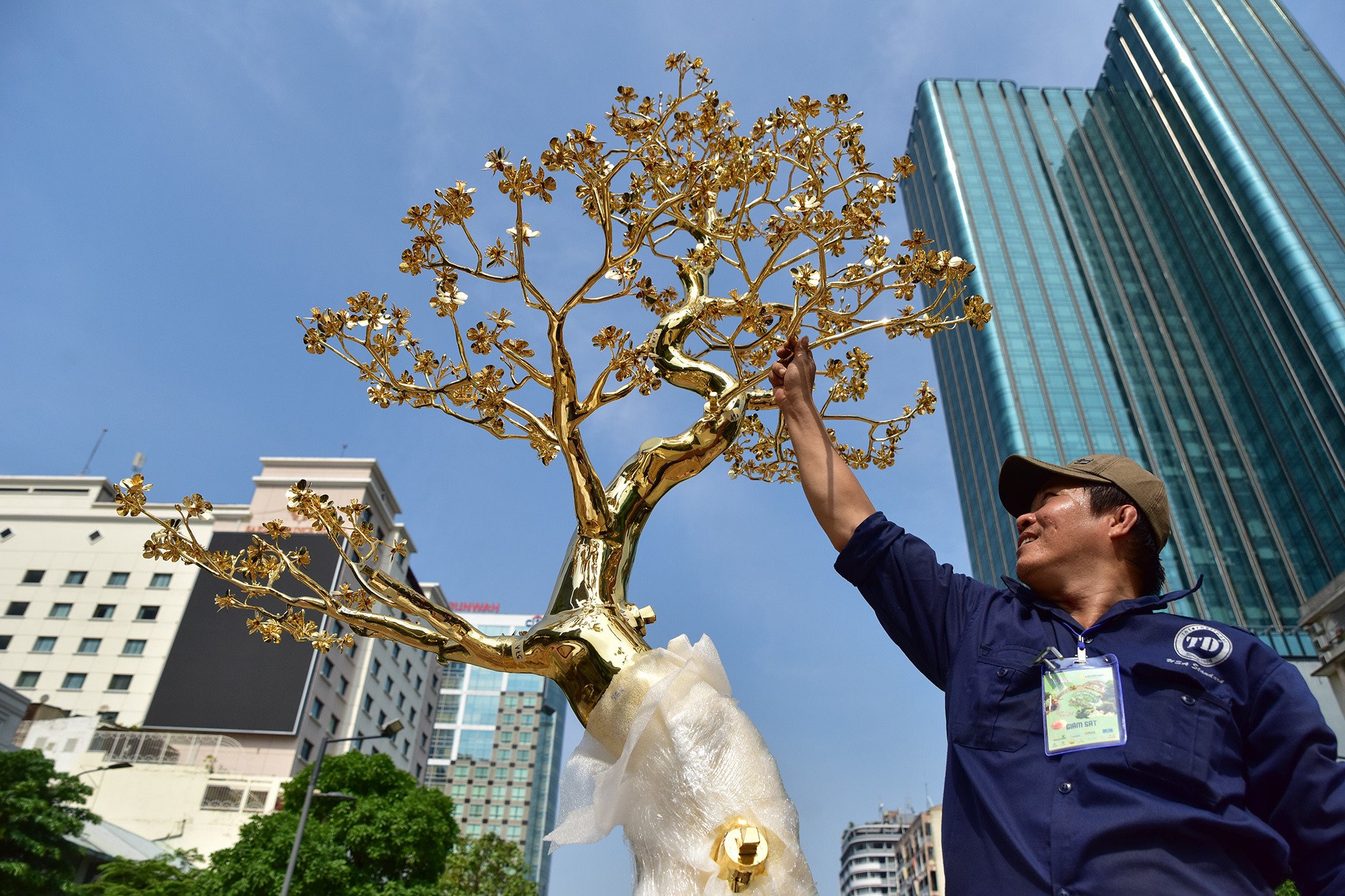 3 cây mai cùng cây bồ đề được dát vàng đang được đơn vị sỡ hữu lắp đặt để phục vụ người dân và du khách chiêm ngưỡng dịp Tết năm nay.