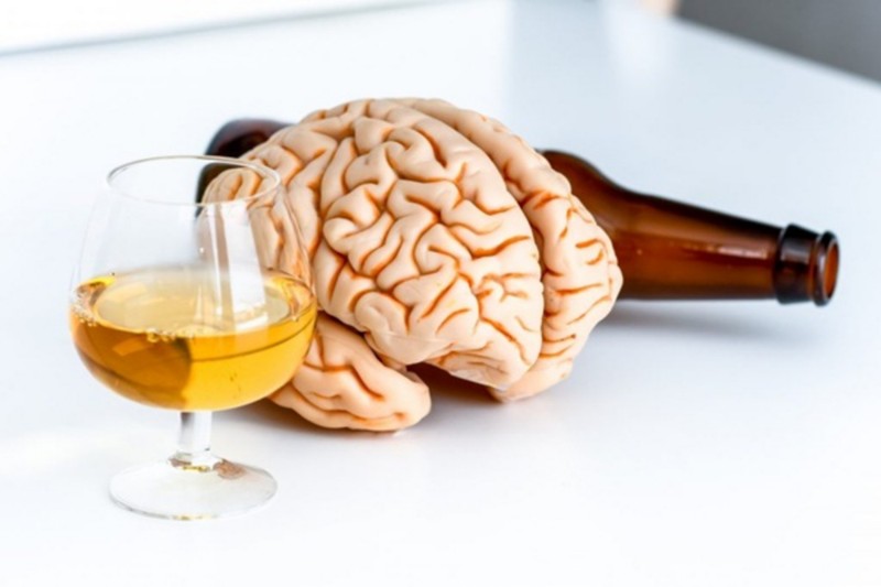 Rượu ảnh hưởng đến não bộ như thế nào? - 1