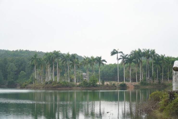 Khu khán đài nhạc nước ở khu vực cuối nguồn của hồ Thủy Tiên đã bị giải tỏa.