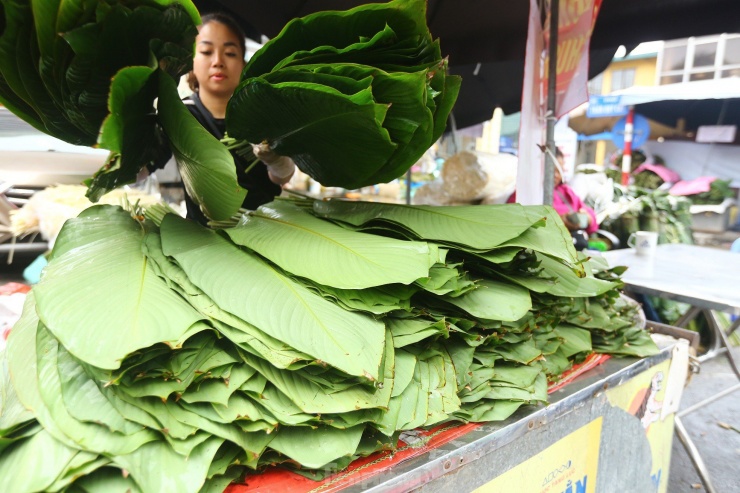 Lá dong có giá cao hơn so với mọi năm, từ 40.000 - 80.000 đồng/bó.