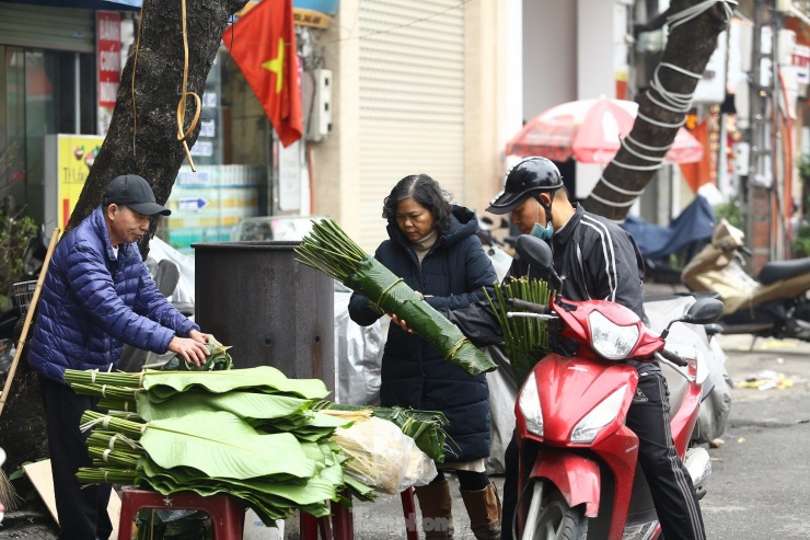 Năm nào tôi cũng đi mua lá dong về gói bánh chưng, tôi thường chọn lá từ vùng Tây Bắc vì lá nó chắc, gói vuông vắn, màu bánh chưng cũng đậm, bà Đức (Đống Đa, Hà Nội) chia sẻ.