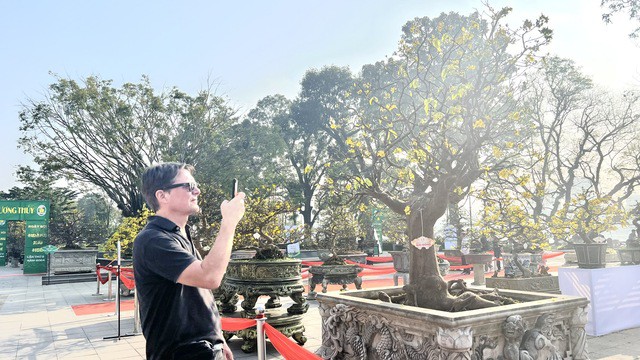 Một du khách nước ngoài lưu lại những hình ảnh cây mai vàng tại ngày hội.