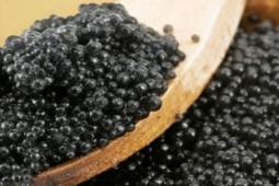 Thị trường - Tiêu dùng - Thứ trước người nghèo mới ăn, nay "lột xác" thành món xa xỉ hơn 500 triệu/kg