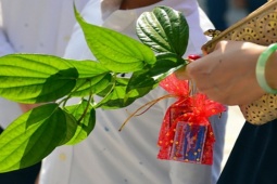 Thị trường - Tiêu dùng - 5 thứ người kinh doanh quan niệm mua đầu năm để cả năm may mắn, tài lộc