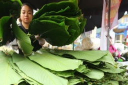 Thị trường - Tiêu dùng - Chợ lá dong lâu đời nhất Hà Nội: Ngày bán hàng vạn lá, thu về hàng chục triệu