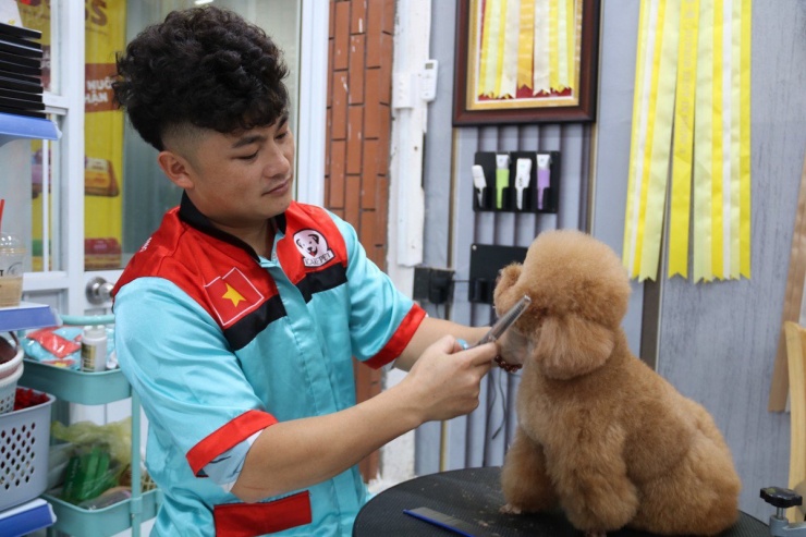 Anh Phạm Bá Hằng, Nhà sáng lập thương hiệu Icarepet, đơn vị chuyên cung cấp dịch vụ dành cho thú cưng, đang cắt tỉa lông cho một chú cún.