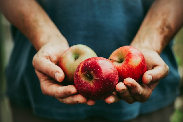 7 lợi ích sức khỏe vượt trội từ trái táo- Ảnh 1.