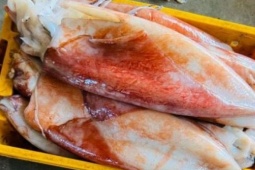 Thị trường - Tiêu dùng - Loại mực "siêu to" ở Việt Nam, giá nửa triệu/kg dân sành ăn lùng mua