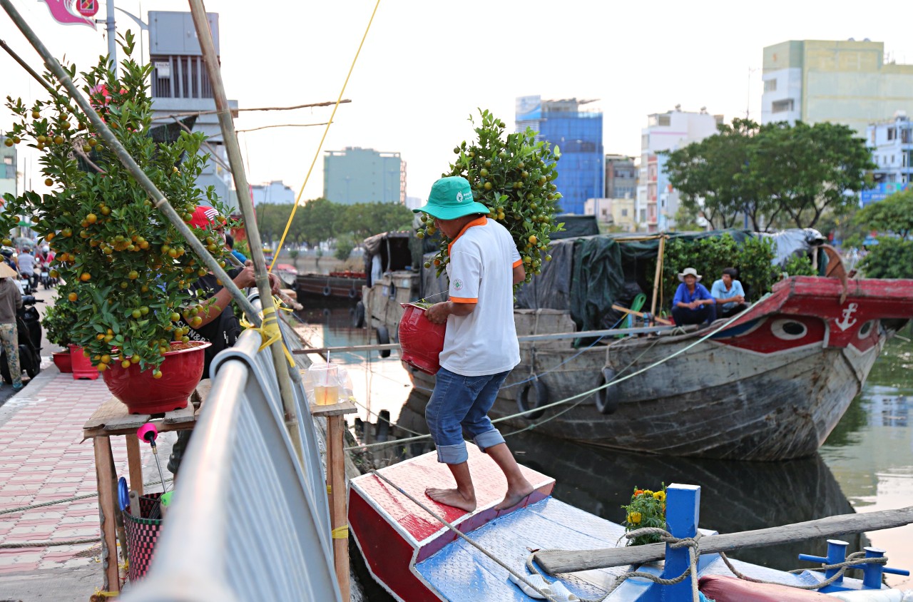 Thuyền cập bến tấp nập, nhà vườn hối hả đưa tắc lên bờ để bán cho khách.