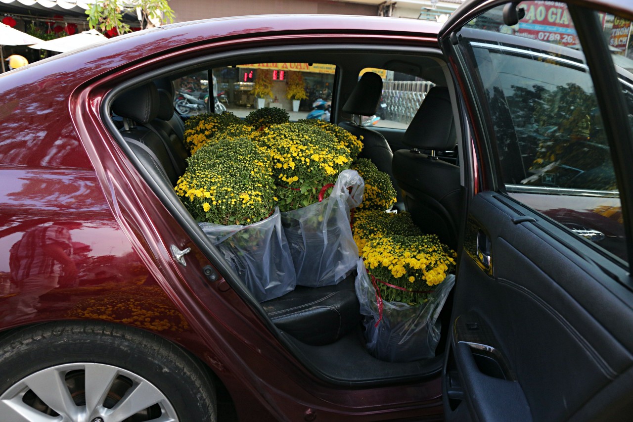 Ô tô chở đầy ắp hoa cúc về nhà đón Tết. Do mua số lượng lớn nên khách được giảm giá.