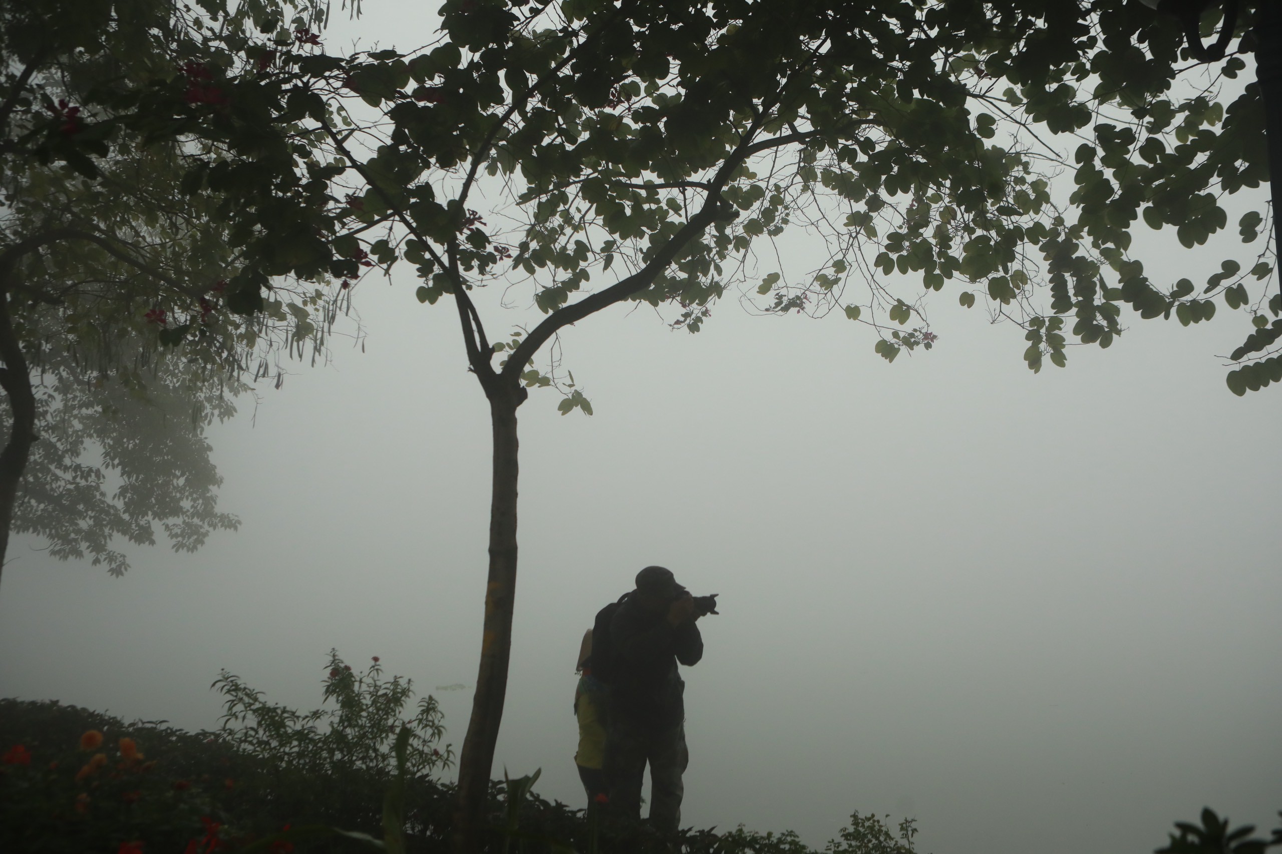 Sáng nay (2/2), Hà Nội được bao phủ trong màn sương mù dày đặc, nhiều người tranh thủ đến Hồ Gươm để 