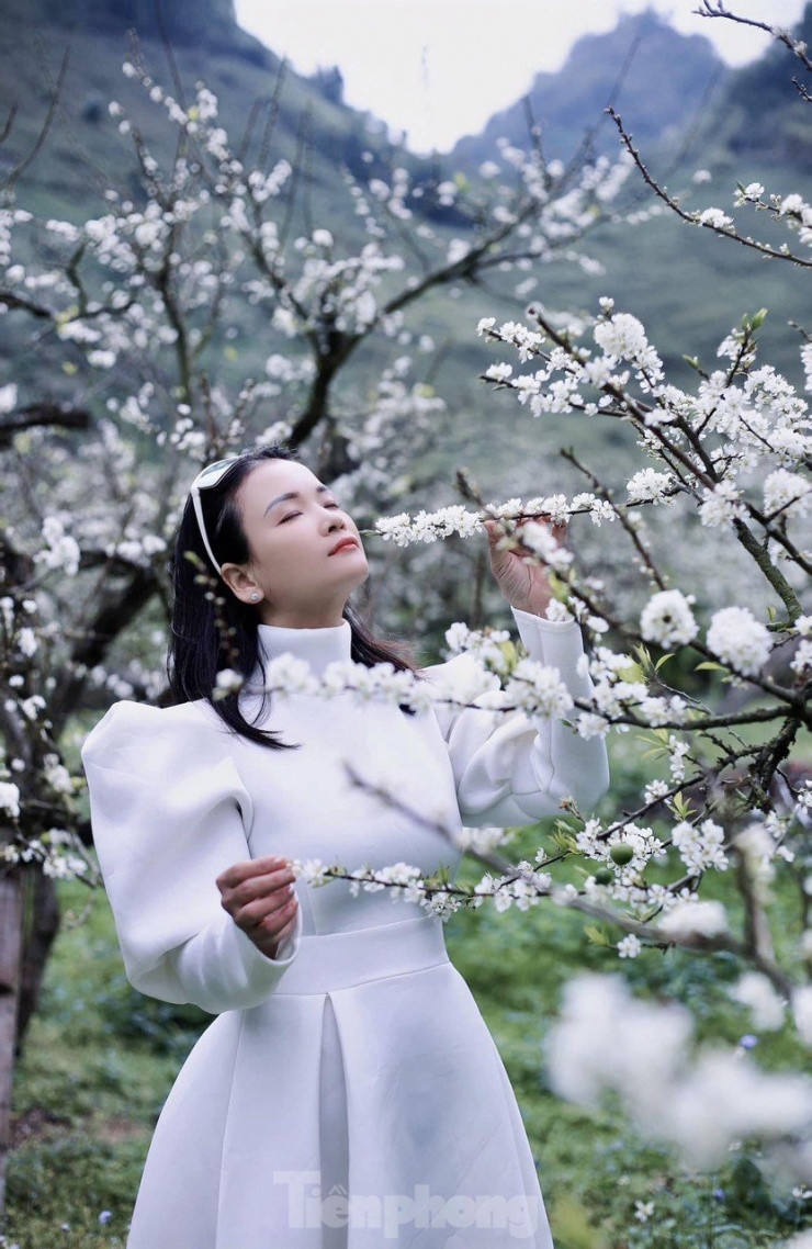 Lạc bước giữa rừng hoa mận trắng tinh khôi trên cao nguyên Mộc Châu