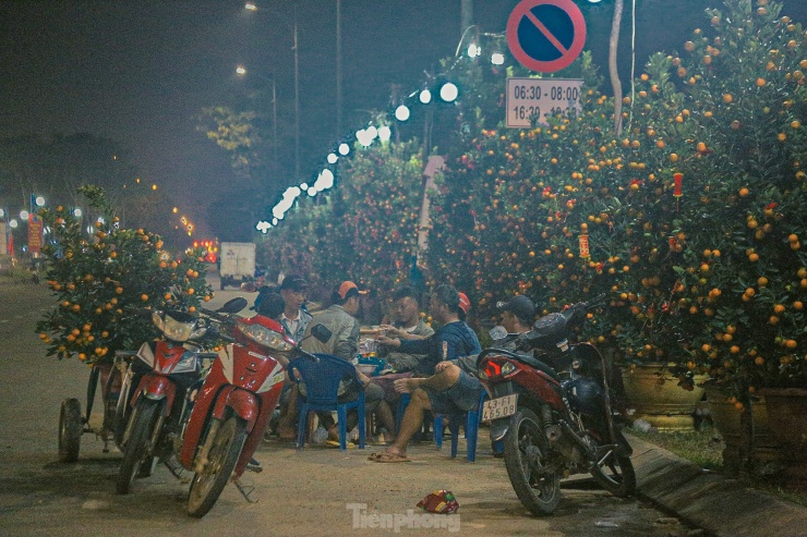 Những ngày cận Tết, đi dọc các tuyến đường trên địa bàn thành phố Đà Nẵng không khó để bắt gặp cảnh “màn trời chiếu đất” của những tiểu thương đang ngày đêm mưu sinh để mong có cái Tết ấm no cùng gia đình.