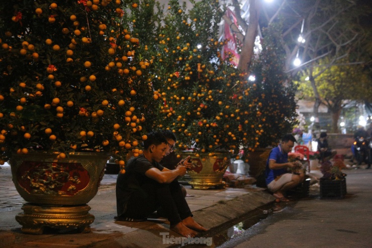 Cảnh "màn trời chiếu đất" mưu sinh của các tiểu thương Đà Nẵng - 7