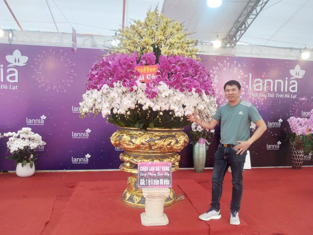 Chậu hoa lan dát vàng có giá hơn 1,6 tỷ đồng ở Bắc Giang. Ảnh: Nguyễn Thắng