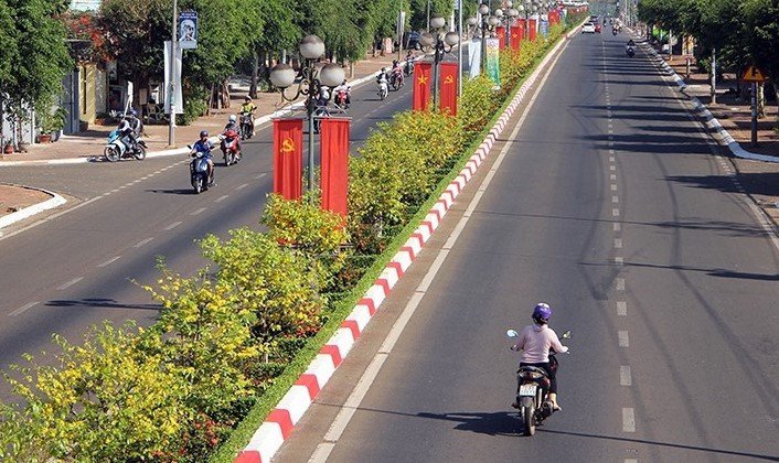 Huyện Châu Đức quan tâm, chăm sóc để luôn giữ được đường hoa mai nở đẹp mỗi dịp tết đến, xuân về. Ảnh: TB