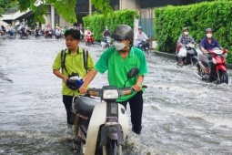 Nam Bộ đón Tết trong thời tiết rất bất lợi