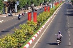 Tin tức trong ngày - Con đường hoa mai với 1.000 cây, dài 5 km "độc nhất vô nhị" ở Việt Nam