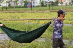 Thị trường - Tiêu dùng - Nông dân Cà Mau dùng võng gánh dưa hấu 'khủng' bán Tết