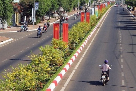Con đường hoa mai với 1.000 cây, dài 5 km "độc nhất vô nhị" ở Việt Nam