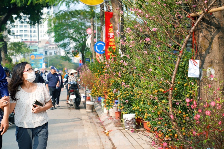 Những ngày này, nơi đây luôn nhộn nhịp người mua bán và 'thưởng' hoa.