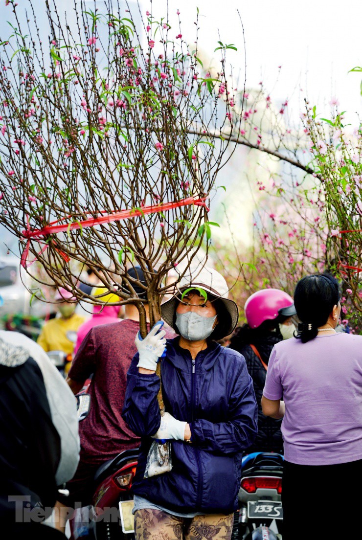 Các loại hoa đào cành, đào Bích thông thường có giá dao động trong khoảng từ 500.000 đến hơn 1.000.000 đồng.