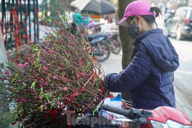 Các loại đào nhánh, cành nhỏ có giá phải chăng và bán chạy nhất với giá khá 'mềm' chỉ khoảng 45.000 - 70.000 đồng.